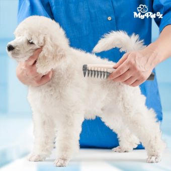 My Pets Electric Hair Remover Comb for Dogs