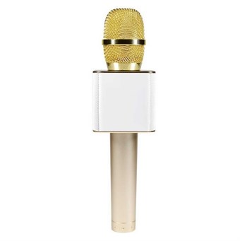 Q9 Professional trådlös mikrofon med högtalare - guld
