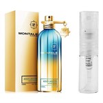 Montale Paris Aoud Lagoon - Eau de Parfum - Doftprov - 2 ml
