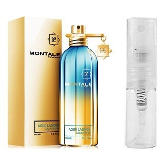 Montale Paris Aoud Lagoon - Eau de Parfum - Doftprov - 2 ml