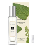 Jo Malone Wood Sage & Sea Salt - Eau de Cologne - Doftprov - 2 ml 