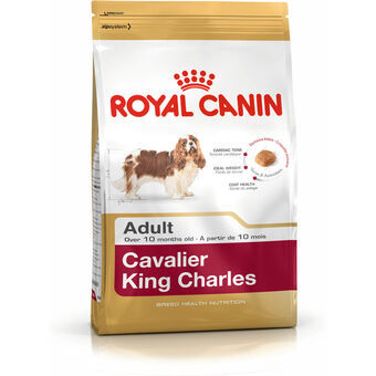 Foder Royal Canin Cavalier King Charles Vuxen 1,5 Kg