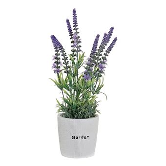 Dekorativa blommor DKD Home Decor Lavendel Cement Järn PE (10 x 10 x 36 cm)