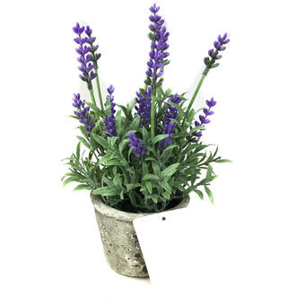 Dekorativa blommor DKD Home Decor Lila Lavendel Cement Järn PE (10 x 10 x 22 cm)