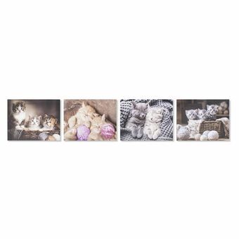 Tavla DKD Home Decor Katter (50 x 1,8 x 40 cm) (4 antal)