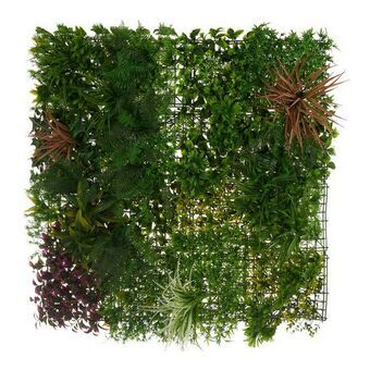 Vertikalt trädgårdskit Tropiskt Plast (100 x 14 x 100 cm)