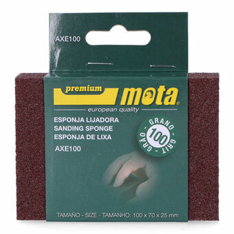 Sanding Sponge Mota AXE100 100 g