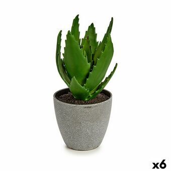 Dekorativ växt Aloe Vera 14 x 21 x 14 cm Grå Grön Plast (6 antal)