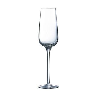 Champagneglas Chef & Sommelier 6 antal Transparent Glas (21 cl)