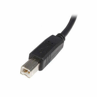 USB A till USB B Kabel Startech USB2HAB3M            Svart