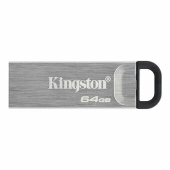 USB-minne Kingston DTKN/64GB Nyckelkedja Silvrig Svart Silver 64 GB