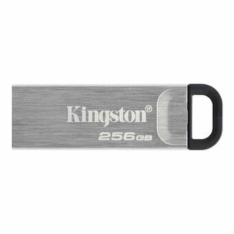 USB-minne Kingston DTKN/256GB USB 3.2 Svart Silver 256 GB