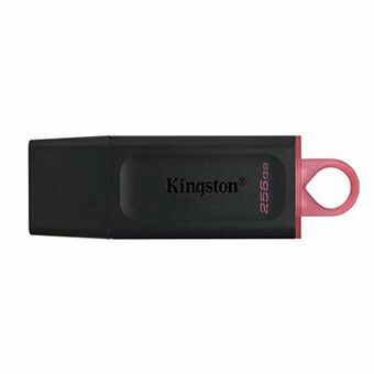 USB-minne Kingston DTX/256GB            256 GB Svart