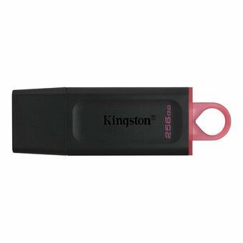 USB-minne Kingston DTX/256GB Nyckelkedja Svart 256 GB