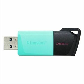 USB-minne Kingston DTXM/256GB 256 GB Blå 256 GB