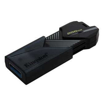 USB-minne Kingston DTXON/256GB