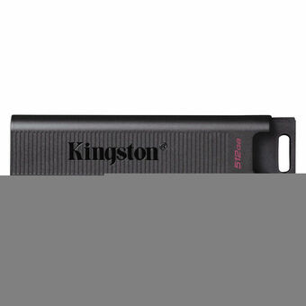 USB-minne Kingston DTMAX 512 GB