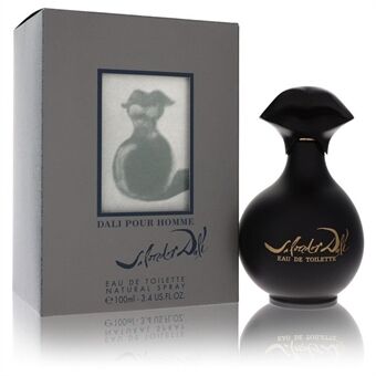 Salvador Dali by Salvador Dali - Eau De Toilette Spray 100 ml - för män