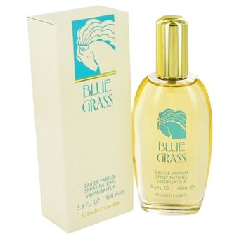 Blue Grass by Elizabeth Arden - Eau De Parfum Spray 100 ml - för kvinnor