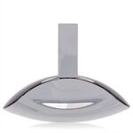 Euphoria by Calvin Klein - Eau De Parfum Spray (unboxed) 100 ml - för kvinnor