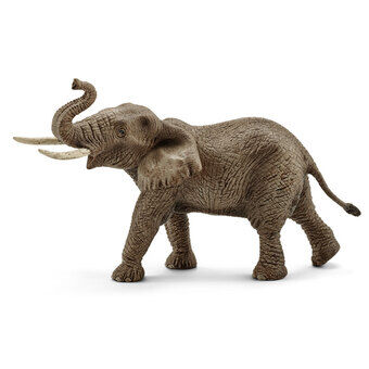 Schleich vilda liv Afrikansk hanelefant 14762