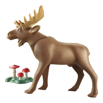 Playmobil Wiltopia Moose - 71052 would be translated to Swedish as: 

Playmobil Wiltopia Älg - 71052