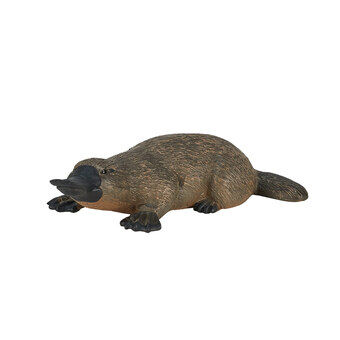 Mojo wildlife platypus - 387106
