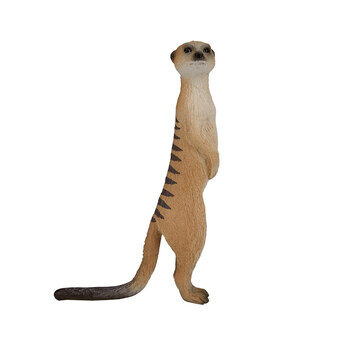 Mojo wildlife surikat - 387125