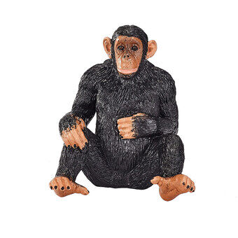 Mojo viltschimpans - 387265