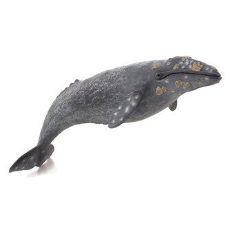 Mojo sealife - gråval 387280