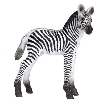Mojo wildlife zebra föl - 387394