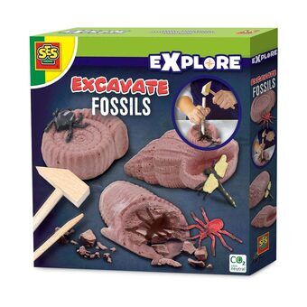 Se utgrävning av fossiler