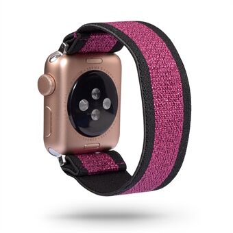 Färgmatchande nylonklockband för Apple Watch Series 6 / SE / 5/4 44mm / Series 3 2 1 Watch 42mm